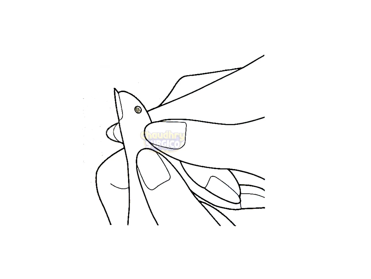 Glucometer Medisign MM800 Step4 Obtain The Blood Sample